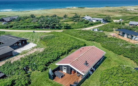 Myriam - 200M from the Sea: Pflanzengemeinschaft, Sonnenlicht, Krautige Pflanze, Garten, Plantage, Landwirtschaft, Bauernhof