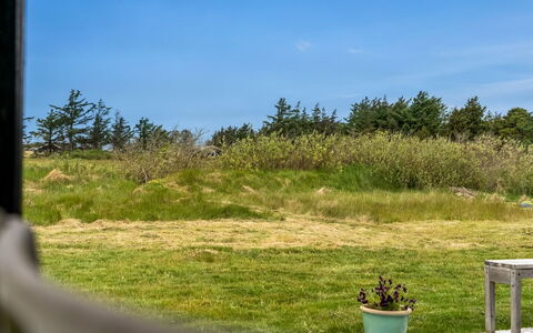 Tera - 600M from the Sea: Gras, Wiese, Grundstueck, Hütte, Ländliches Gebiet, Wiese, Gartenbauten, Garten, Schuppen