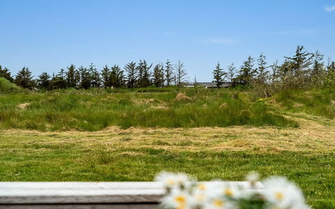 Tera - 600M from the Sea: Gras, Wiese, Grundstueck, Hütte, Ländliches Gebiet, Wiese, Gartenbauten, Garten, Schuppen