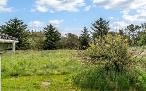 Aponi - 400M from the Sea: Himmel, Gras, Natürlichen Umgebung, Wiese, Vegetation, Wolke, Strauch, Einfach, Ökoregion, Grundstueck
