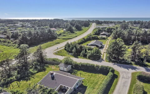 Eden - 800M from the Sea: Pflanzengemeinschaft, Sonnenlicht, Krautige Pflanze, Garten, Plantage, Landwirtschaft, Bauernhof