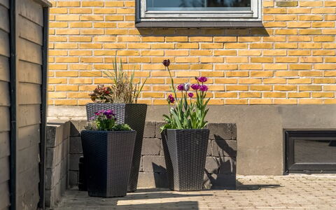 Nayeli - 275M from the Sea: Blumentopf, Verbundwerkstoff, Zimmerpflanze, Floristik, Beton, Backstein, Garten, Flagstone