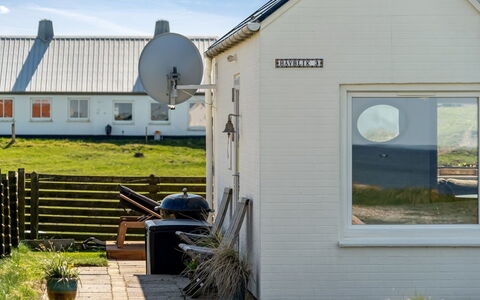 Trifun - 50M from the Sea: Pflanzengemeinschaft, Sonnenlicht, Krautige Pflanze, Garten, Plantage, Landwirtschaft, Bauernhof