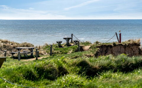 Trifun - 50M from the Sea: Pflanzengemeinschaft, Sonnenlicht, Krautige Pflanze, Garten, Plantage, Landwirtschaft, Bauernhof