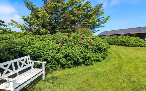 Violeta - 250M from the Sea: Blume, Strauch, Rosa, Garten, Ground, Lila, Frühling, Rasen, Wiese, Landscaping