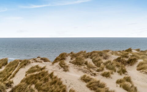 Radica - 50M from the Sea: Blau, Natürlichen Umgebung, Sand, Ökoregion, Horizont, Strand, Küste, Meer, Ufer