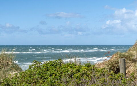 Abbie - 10M from the Sea: Himmel, Blau, Wasser, Wasservorräte, Daytime, Gewässer, Horizont, Meer, Küste