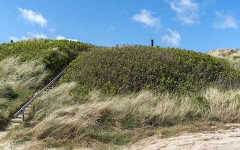Abbie - 10M from the Sea: Gras, Vegetation, Strauch, Pflanzengemeinschaft, Ökoregion, Landschaft, Wiese, Shrubland, Steigung