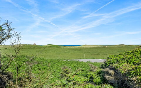 Henryette - 200M from the Sea: Himmel, Blau, Grün, Gras, Wiese, Vegetation, Natürliche Landschaft, Ökoregion, Horizont, Einfach