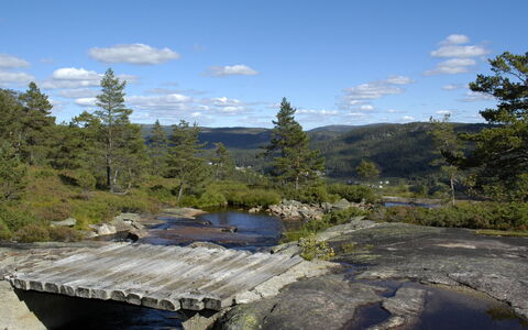 Kosetoppen: Wasser, Himmel, Wolke, Schwimmbad, Gebäude, Baum, Aqua, Freizeit, Ferienort, Pflanze