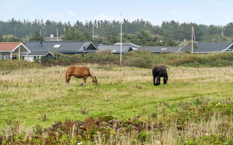 Helma - 200M from the Sea: Holz, Haus, Hütte, Zuhause, Dach, Ländliches Gebiet, Abstellgleis, Blockhaus, Gartenbauten, Hartholz