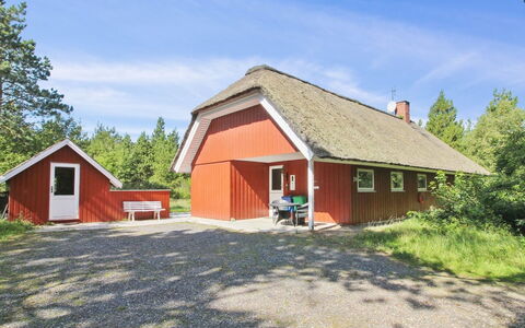 Thordo - 2.4Km from the Sea: Dachdecken, Hütte, Haus, Dach, Zuhause, Bauernhaus, Hütte, Estate, Dorf