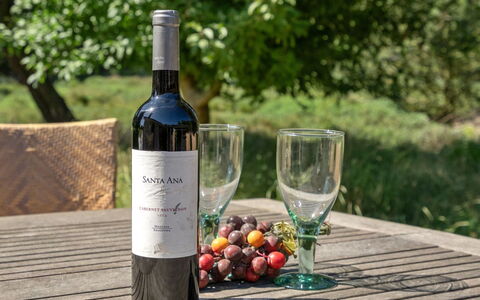 Mojag - 1Km from the Sea: Flasche, Wein, Rotwein, Weinflasche, Glasflasche, Barware