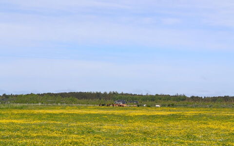 Auti - 2.3Km from the Sea: Gebäude, Haus, Fenster, Zuhause, Dach, Wohngebiet, Strauch, Hütte, Grundstueck