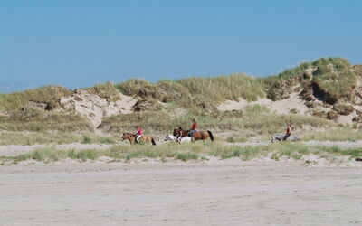 Helline - 900M from the Sea