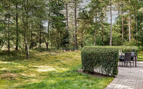 Troen - 3.8Km from the Sea: Baum, Grün, Gras, Blatt, Vegetation, Strauch, Garten, Grundstueck, Pflanzengemeinschaft, Ground