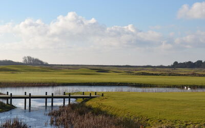 Byriel - 2.3Km from the Sea