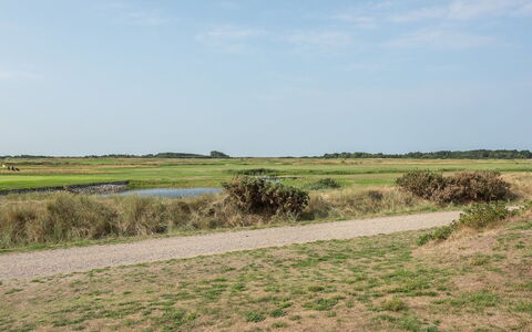Helvig - 2.3Km from the Sea: Himmel, Grün, Gras, Natürlichen Umgebung, Wiese, Vegetation, Ökoregion, Natürliche Landschaft, Einfach, Horizont