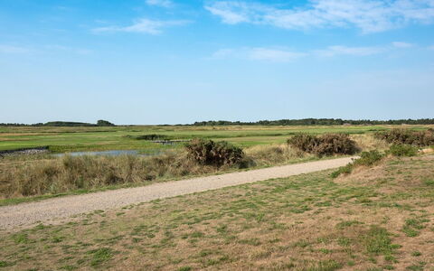 Jovanka - 2.3Km from the Sea: Himmel, Blau, Grün, Gras, Wiese, Natürlichen Umgebung, Ökoregion, Natürliche Landschaft, Vegetation, Einfach