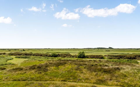 Anelia - 2.3Km from the Sea: Himmel, Blau, Gras, Natürlichen Umgebung, Grün, Wiese, Ökoregion, Vegetation, Wolke, Natürliche Landschaft