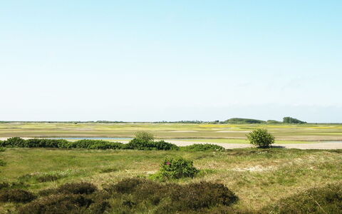Sighwald - 2.3Km from the Sea: Himmel, Grün, Gras, Wiese, Natürliche Landschaft, Ökoregion, Vegetation, Einfach, Steppe, Prärie