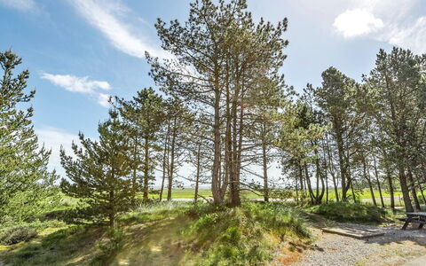 Svanborg - 3.7Km from the Sea: Dach, Haus, Grundstueck, Zuhause, Hütte, Estate, Gartenbauten, Schatten, Blockhaus, Landscaping