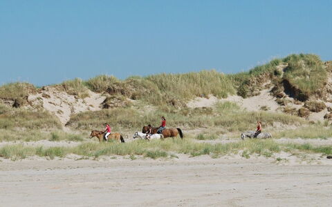 Cora - 1Km from the Sea: Wohngebiet, Dach, Vorort, Auffahrt, Estate, Kamin