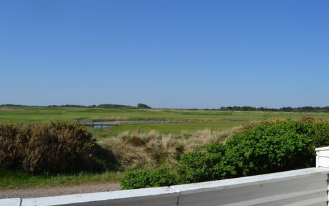 Drita - 2.3Km from the Sea: Himmel, Grün, Gras, Wiese, Einfach, Ökoregion, Grundstueck, Steppe, Prärie