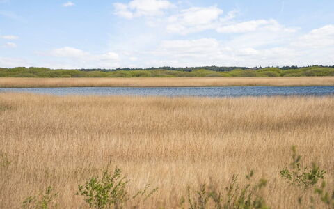 Hermandine - 700M from the Sea: Dach, Haus, Grundstueck, Zuhause, Hütte, Estate, Gartenbauten, Schatten, Blockhaus, Landscaping