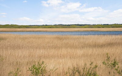 Hermandine - 700M from the Sea