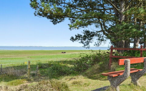 Sedine - 3.9Km from the Sea: Gras, Grün, Natürliche Landschaft, Wiese, Sommer, Außenbank, Möbel, Meer, Einfach, Grundstueck