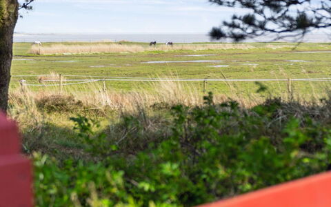 Sedine - 3.9Km from the Sea: Pflanzengemeinschaft, Sonnenlicht, Krautige Pflanze, Garten, Plantage, Landwirtschaft, Bauernhof