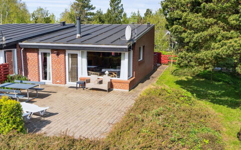Sedine - 3.9Km from the Sea: Pflanzengemeinschaft, Sonnenlicht, Krautige Pflanze, Garten, Plantage, Landwirtschaft, Bauernhof