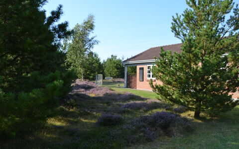 Angret - 3.5Km from the Sea: Gras, Strauch, Haus, Garten, Zuhause, Hütte, Grundstueck, Rasen, Ground