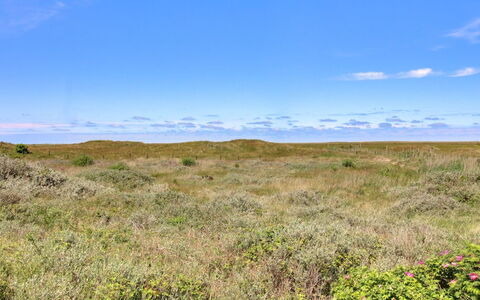 Zekine - 2.5Km from the Sea: Himmel, Blau, Wiese, Gras, Natürlichen Umgebung, Ökoregion, Vegetation, Horizont, Natürliche Landschaft, Einfach