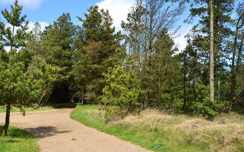 Trana - 2Km from the Sea: Blatt, Baum, Grün, Natur, Ast, Vegetation, Natürliche Landschaft, Strauch, Weg, Pflanzengemeinschaft