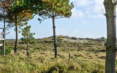 Trana - 2Km from the Sea