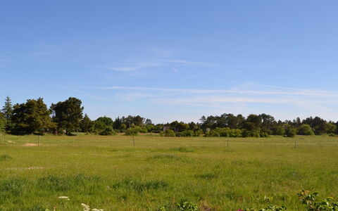 Naili - 3.1Km from the Sea: Blau, Grün, Gras, Wiese, Natürliche Landschaft, Vegetation, Einfach, Ökoregion, Prärie, Grundstueck