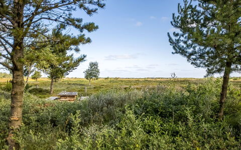 Artan - 2.6Km from the Sea: Gras, Wiese, Landschaft, Ökoregion, Einfach, Pflanzengemeinschaft, Grundstueck, Gartenmöbel, Prärie, Shrubland