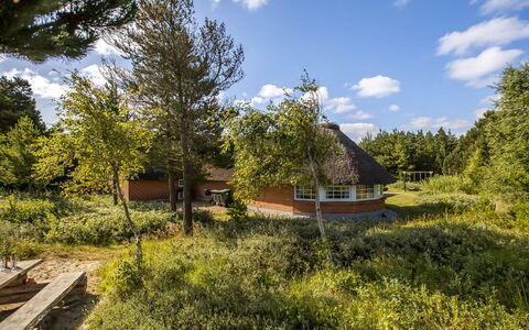 Artan - 2.6Km from the Sea: Gras, Wiese, Landschaft, Ökoregion, Einfach, Pflanzengemeinschaft, Grundstueck, Gartenmöbel, Prärie, Shrubland
