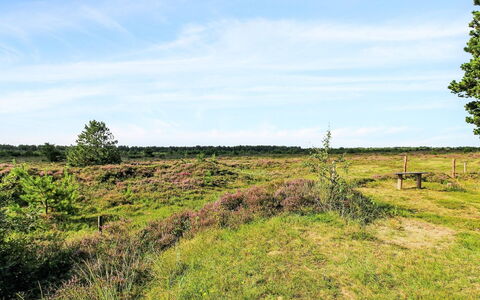 Alfwin - 3Km from the Sea: Himmel, Blau, Gras, Natürlichen Umgebung, Wiese, Vegetation, Natürliche Landschaft, Ökoregion, Einfach, Sommer