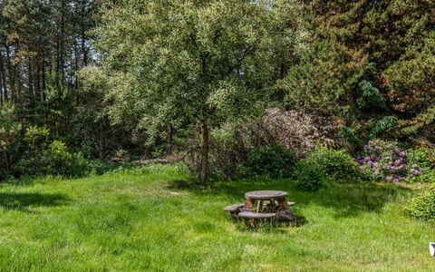 Jul - 900M from the Sea: Baum, Gras, Grün, Blatt, Vegetation, Strauch, Garten, Pflanzengemeinschaft, Wiese, Grundstueck