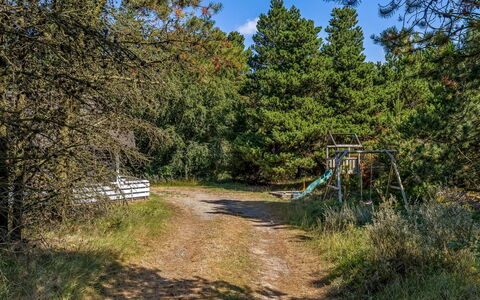 Lin - 2.9Km from the Sea: Baum, Gras, Blatt, Natur, Ast, Vegetation, Strauch, Weg, Pflanzengemeinschaft, Wald