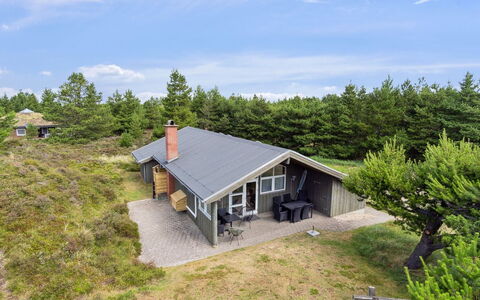 Erlinda - 3.1Km from the Sea: Pflanzengemeinschaft, Sonnenlicht, Krautige Pflanze, Garten, Plantage, Landwirtschaft, Bauernhof