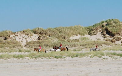 Paula - 2.3Km from the Sea