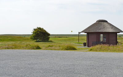 Paula - 2.3Km from the Sea