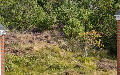 Maylin - 2.3Km from the Sea: Dach, Haus, Grundstueck, Zuhause, Hütte, Estate, Gartenbauten, Schatten, Blockhaus, Landscaping