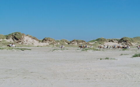Sigrun - 4Km from the Sea: Wohngebiet, Dach, Vorort, Auffahrt, Estate, Kamin