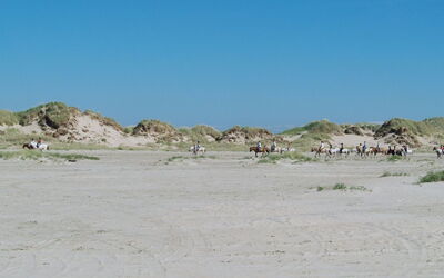 Sigrun - 4Km from the Sea