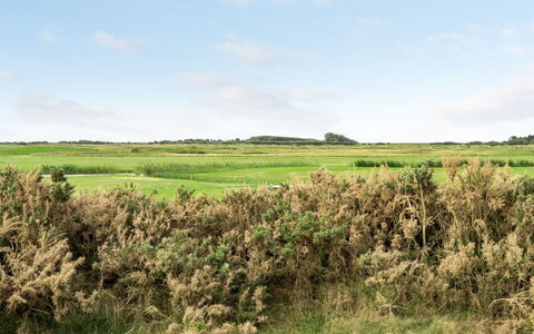 Hugo - 2.5Km from the Sea: Dach, Haus, Zuhause, Hütte, Tür, Abstellgleis, Estate, Rasen, Garten, Veranda